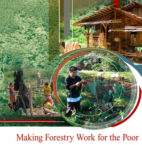Adapting Forest Policies to Poverty Alleviation Strategies in Asia and the Pacific