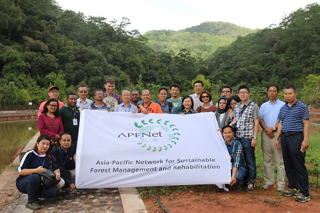 Integrated Forest Ecosystem Management Planning and Demonstration Project in Greater Mekong Sub-region (China)