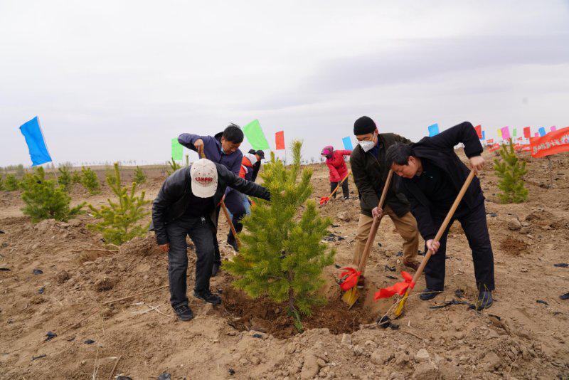 亚太森林组织通过示范项目助力 科尔沁沙地综合治理