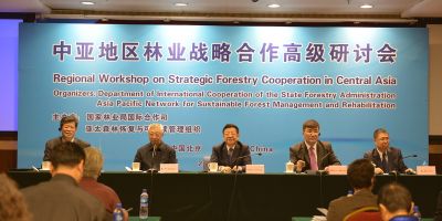 探讨林业交流合作，共建绿色丝绸之路 —中亚地区林业战略合作聚焦