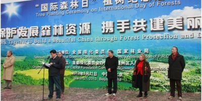 中国庆祝首个世界森林日 亚太森林组织受邀参加