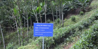 中南半岛跨境生态安全保护可持续森林恢复与管理示范项目