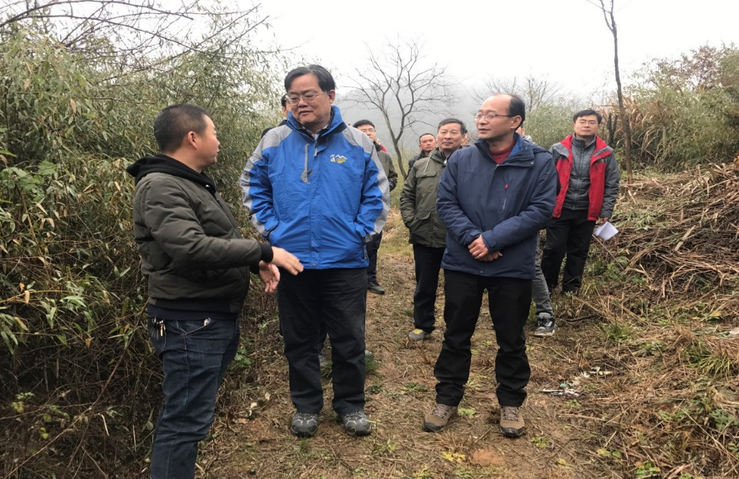 中国南方低山丘陵区森林恢复和可持续经营  示范项目完成中期评估