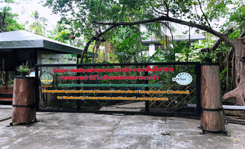 亚太森林恢复与可持续管理组织支持泰国改善城市森林和森林碳测量——泰国两个项目的最终评估成功完成