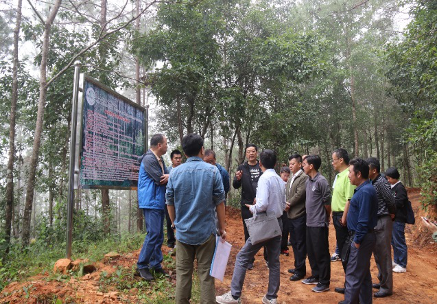 大湄公河次区域森林生态系统综合管理规划与示范项目 （中国普洱项目区）完成中期评估